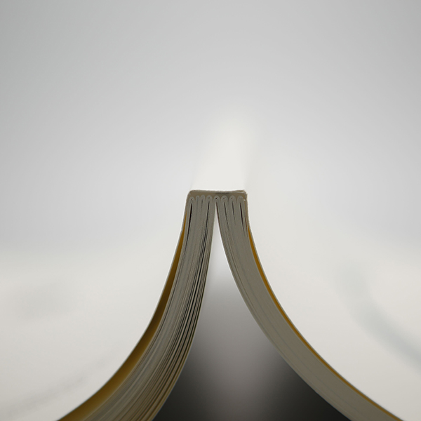 愛(ài)歐裝訂方式--鎖線膠裝