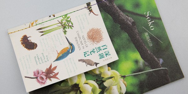 有靈魂的宣傳畫冊就應(yīng)該這樣設(shè)計！-和印愛歐圖文